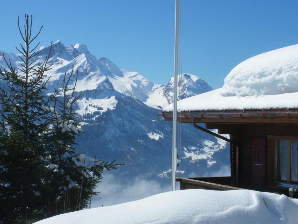 Chalet Blatti Hasliberg Ngoại thất bức ảnh